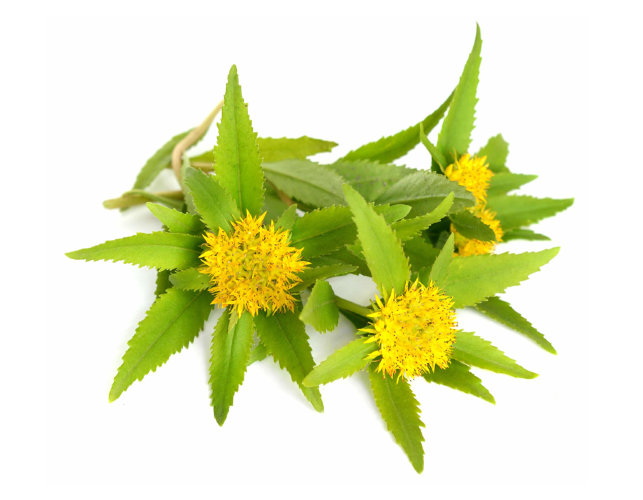 CО2 экстракт Череды водорастворимый